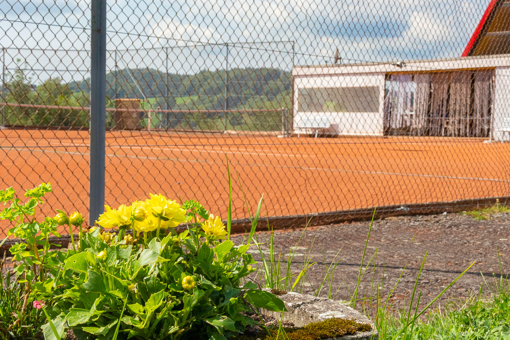 TC Grafenau Tennisanlage